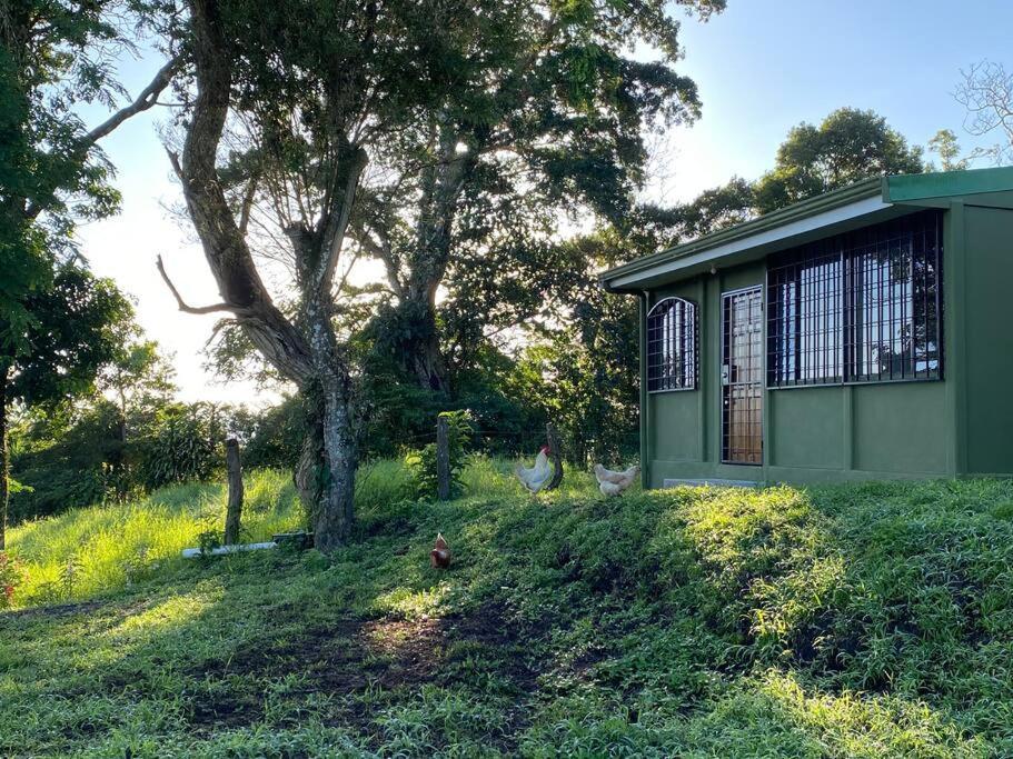 Basecamp Arenal Aparthotel Tronadora Bagian luar foto